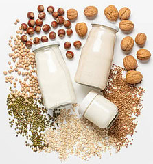 Dairy Free vs Lactose Free Whats the Difference image 4 top view various nuts with corresponding milks laid out frosted fusions