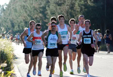 ANSW-Sydney-Striders-10km-2009_0140_3663x2514_6197699