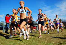 NSW-Cross-Country-Championships-2010_0036_3591x2465_6199457