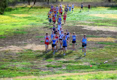 XCR2010-Brimbank-Park_0119_3597x2460_6199779