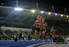 1_TIM_5264_4236x2868_4588621