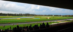 Sandown-Classic-2010_0469_3773x1662_6199116