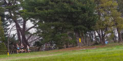 Australian-Cross-Country-Championships-2025z9-0617