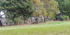 Australian-Cross-Country-Championships-2025z9-0690