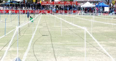 Stawell-Gift-2009_0353_2992x1568_6197662
