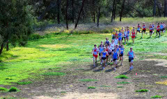 XCR2010-Brimbank-Park_0117_3872x2290_6199776