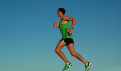 DSC_1205_1504x890_4696010