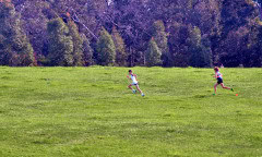 TIM_7462_4741x2846_4581554