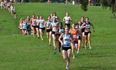 TIM_7844_4554x2775_4581558