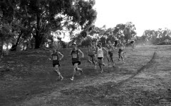 Australian-Trial-for-2010-World-Cross-Country-Championships__0040_3548x2216_5657071