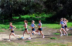 XCR2010-Brimbank-Park_0002_3267x2091_6199745