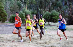 Australian-Trial-for-2010-World-Cross-Country-Championships__0159_3393x2211_5657087