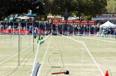 Stawell-Gift-2009_0136_3823x2508_6197689