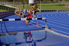 1_TIM_6137_4587x3027_4588810