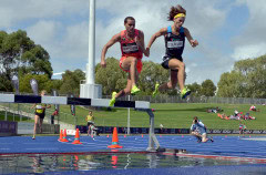 1_TIM_6194_4290x2825_4588813