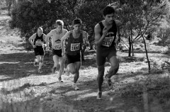 XCR2010-Brimbank-Park_0300_3872x2548_6199831