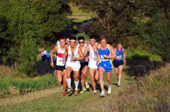 2.-NSW-Cross-Country-Championships-2010_0408_3575x2355_6199377