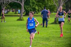1_TIM_8161