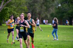 1_TIM_7633