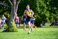 TIM_6948