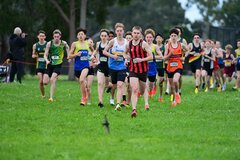TIM_1811