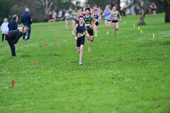 TIM_2214