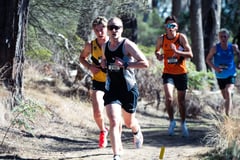 TIM_6385