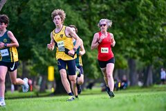 1_TIM_7564
