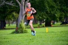 1_TIM_7392