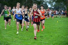TIM_1832