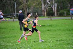 TIM_2041