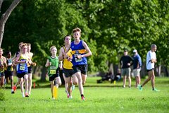 TIM_6919
