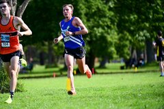 TIM_6704