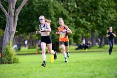 1_TIM_7385