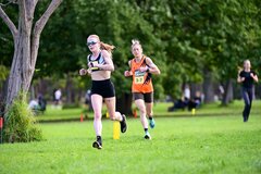 TIM_7385
