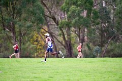 TIM_7927