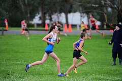 TIM_2075
