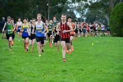 TIM_1824