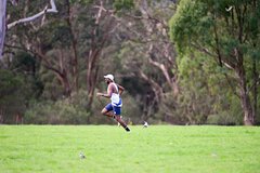 TIM_7936