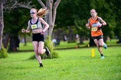 1_TIM_7391