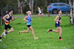 TIM_2062