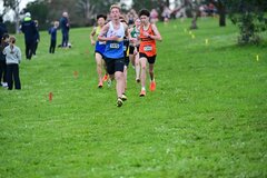 TIM_2184
