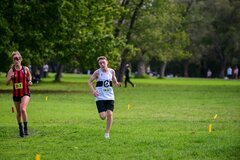 1_TIM_8137