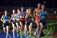 1_TIM_5052_4928x3264_4588628