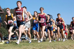 Australian-Cross-Country-Championships-2009_0455_3872x2592_6198142