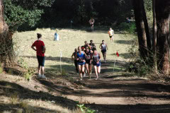 Australian-Cross-Country-Championships-2009_0546_3872x2592_6198305