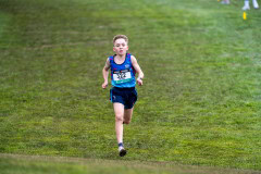 Australian-Cross-Country-Championships-2025-0053