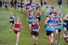 Australian-Cross-Country-Championships-2025-0136
