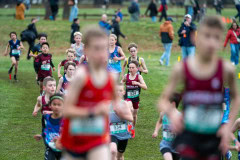 Australian-Cross-Country-Championships-2025-0142