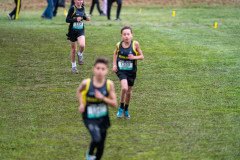 Australian-Cross-Country-Championships-2025-0233